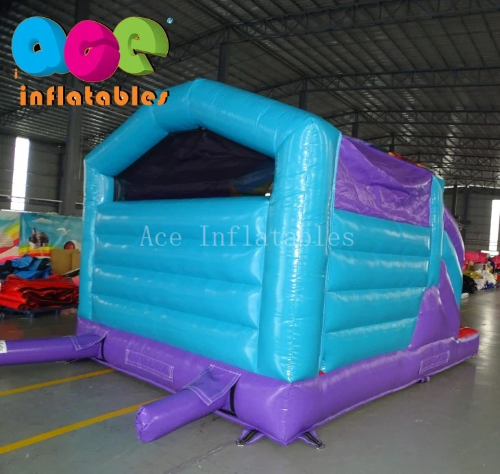 Shimmer and Shine theme childrens bouncy castle for sale4